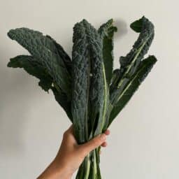 A bundle of iron-rich leafy green chard